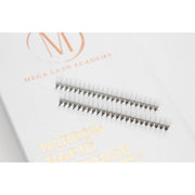 Mega Lash Academy Narrow 6D Rapid Promade Fans® - 1050 Fans Promade Fans Lavender 0.07 / C / Mixed 9-15 mm,0.07 / CC / Mixed 9-15 mm,0.07 / D / Mixed 9-15 mm
