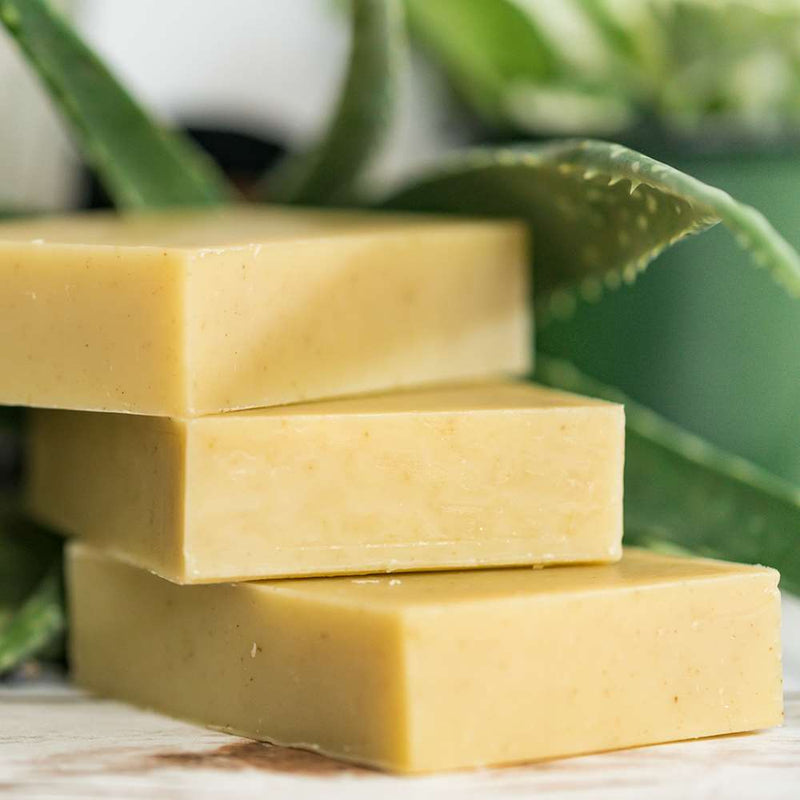 Chagrin Valley Soap & Salve Natural Soap: Fresh Aloe Soap Dark Khaki Full Bar 5.6 oz,Travel Size Bar 1.7 oz