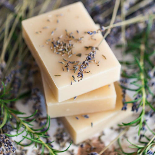 Chagrin Valley Soap & Salve Shampoo Bar: Rosemary Lavender Shampoo Bar Tan Travel Size Bar 1.7 oz