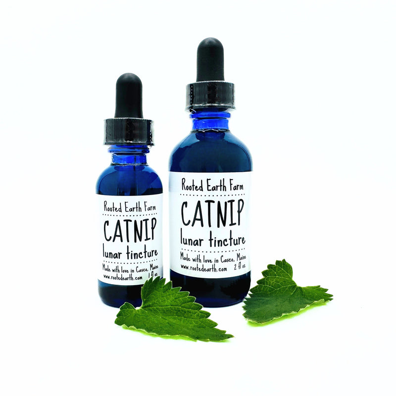 Rooted Earth Farm + Apothecary Catnip Tincture Tinctures + Capsules White Smoke 1 oz,2 oz