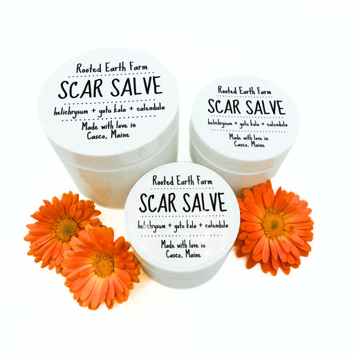 Rooted Earth Farm + Apothecary Scar Salve Herbal Salves + Balms White Smoke 1 oz,2 oz,4 oz