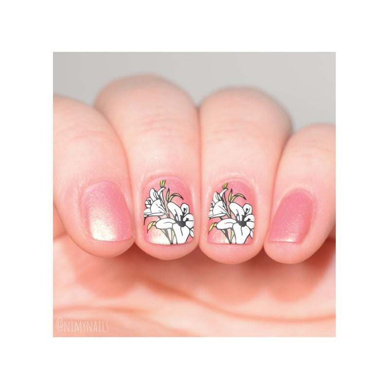 UberChic Beauty Flora & Fauna Stamping Plate Light Pink