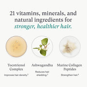 Nava Beauty Nutrafol Women's Hair Growth for Thicker, Stronger Hair 3-Month Supply White Smoke