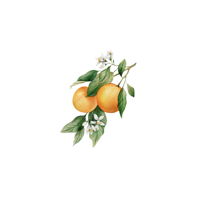 Rustic Strength Orange Essential Oil Scenting Oil White Smoke