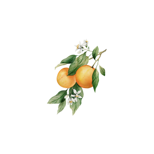 Rustic Strength Orange Essential Oil Scenting Oil White Smoke