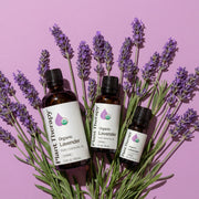 Plant Therapy Organic Lavender Essential Oil Essential Oil Plum 10 mL,30 mL,100 mL