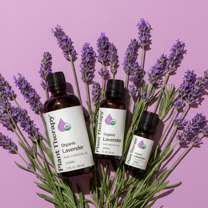 Plant Therapy Organic Lavender Essential Oil Essential Oil Plum 10 mL,30 mL,100 mL