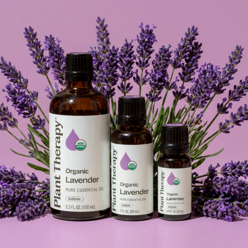 Plant Therapy Organic Lavender Essential Oil Essential Oil Dark Gray 10 mL,30 mL,100 mL