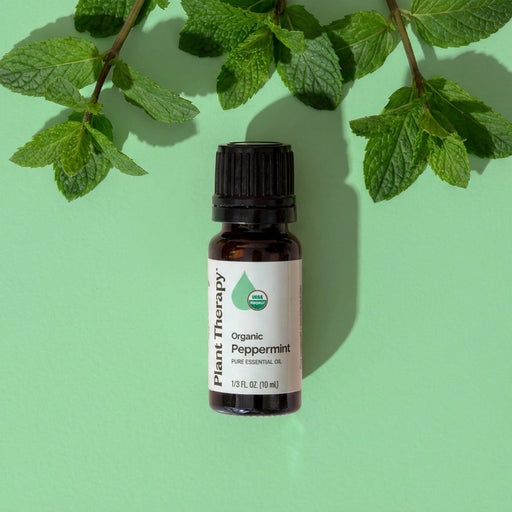 Plant Therapy Organic Peppermint Essential Oil Essential Oil Dark Sea Green 10 mL,30 mL,100 mL