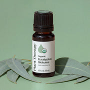 Plant Therapy Organic Eucalyptus Globulus Essential Oil Essential Oil Dark Sea Green 10 mL,30 mL,100 mL