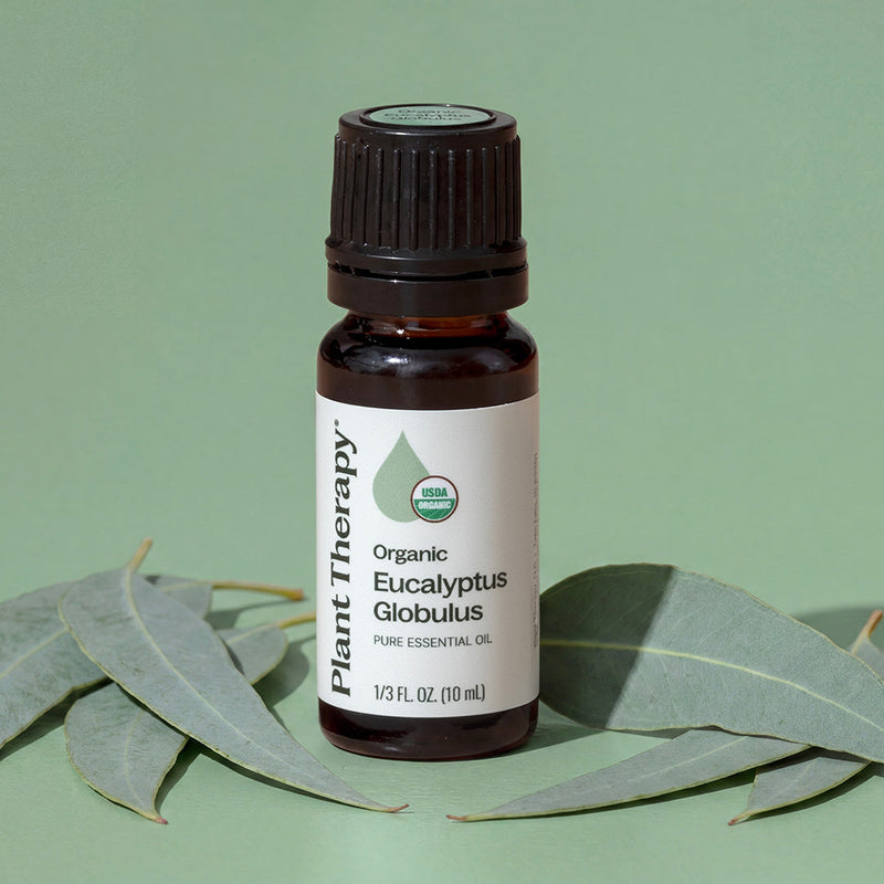 Plant Therapy Organic Eucalyptus Globulus Essential Oil Essential Oil Dark Sea Green 10 mL,30 mL,100 mL