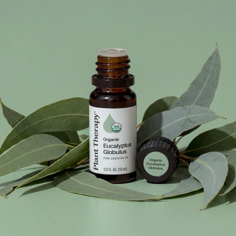 Plant Therapy Organic Eucalyptus Globulus Essential Oil Essential Oil Dark Sea Green 10 mL,30 mL,100 mL