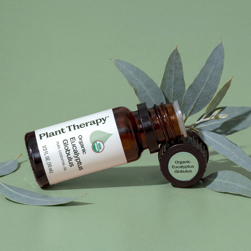 Plant Therapy Organic Eucalyptus Globulus Essential Oil Essential Oil Dark Sea Green 10 mL,30 mL,100 mL