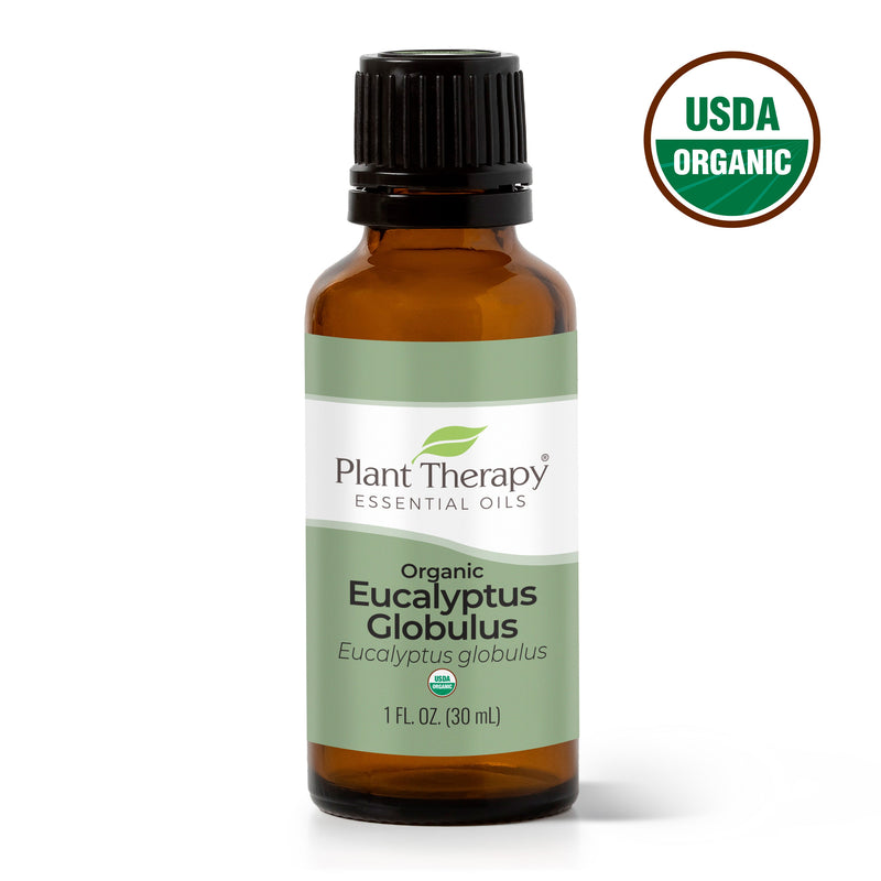 Plant Therapy Organic Eucalyptus Globulus Essential Oil Essential Oil Dark Sea Green 30 mL