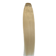 VIP Extensions VIP Clip Extensions / Silky Straight 24" (170 g) - ClipeX System Hair Extension Rosy Brown 1001