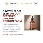 Portland Ashwagandha Farm Ashwagandha Fresh Spagyric Tincture – Pacific Northwest Grown Tincture White Smoke 2oz,4oz