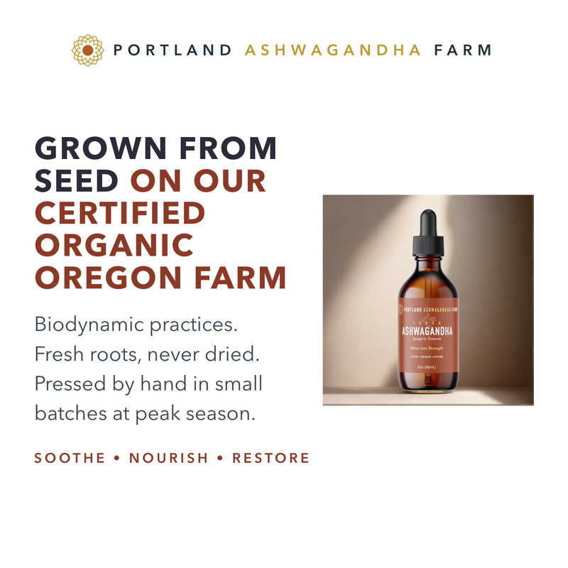 Portland Ashwagandha Farm Ashwagandha Fresh Spagyric Tincture – Pacific Northwest Grown Tincture White Smoke 2oz,4oz