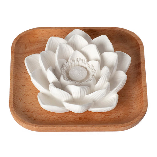 Plant Therapy Passive Lotus Diffuser Diffuser White Smoke