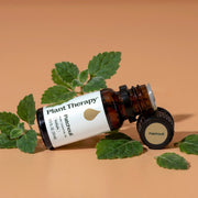 Plant Therapy Patchouli Essential Oil Essential Oil Tan 10 mL,30 mL,100 mL