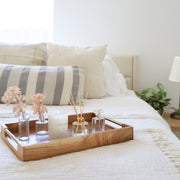 Aroma360 Paris Collection Set Paris Collection Light Gray Dream On,Escapade,Chandelier,My Way