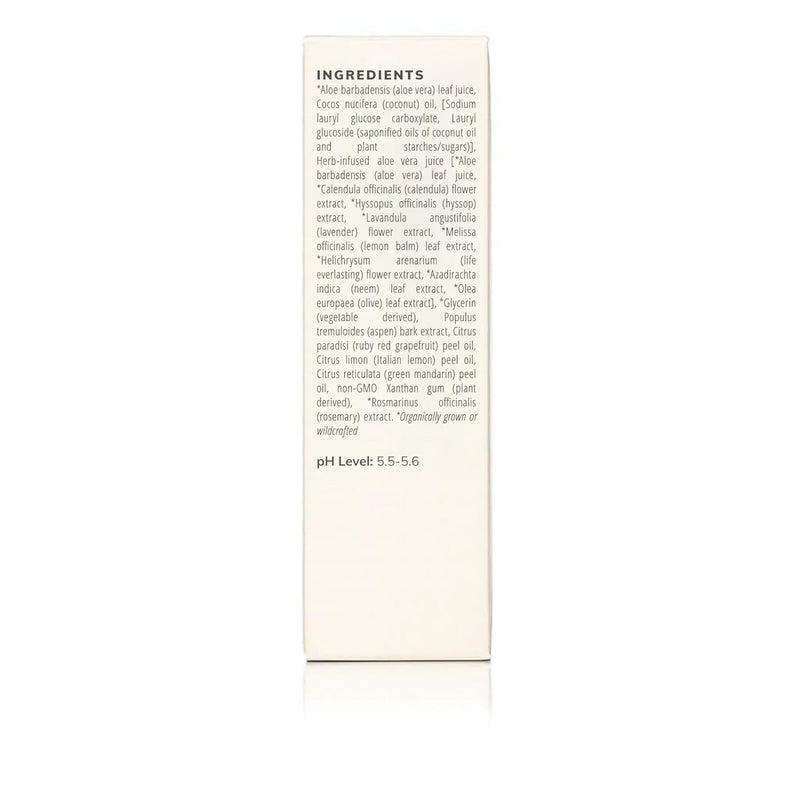 Annmarie Skin Care Aloe Herb Cleanser (100ml)- Collective HIDDEN Seashell