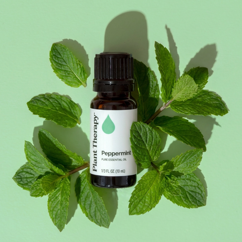 Plant Therapy Peppermint Essential Oil Essential Oil Light Green 10 mL,30 mL,100 mL