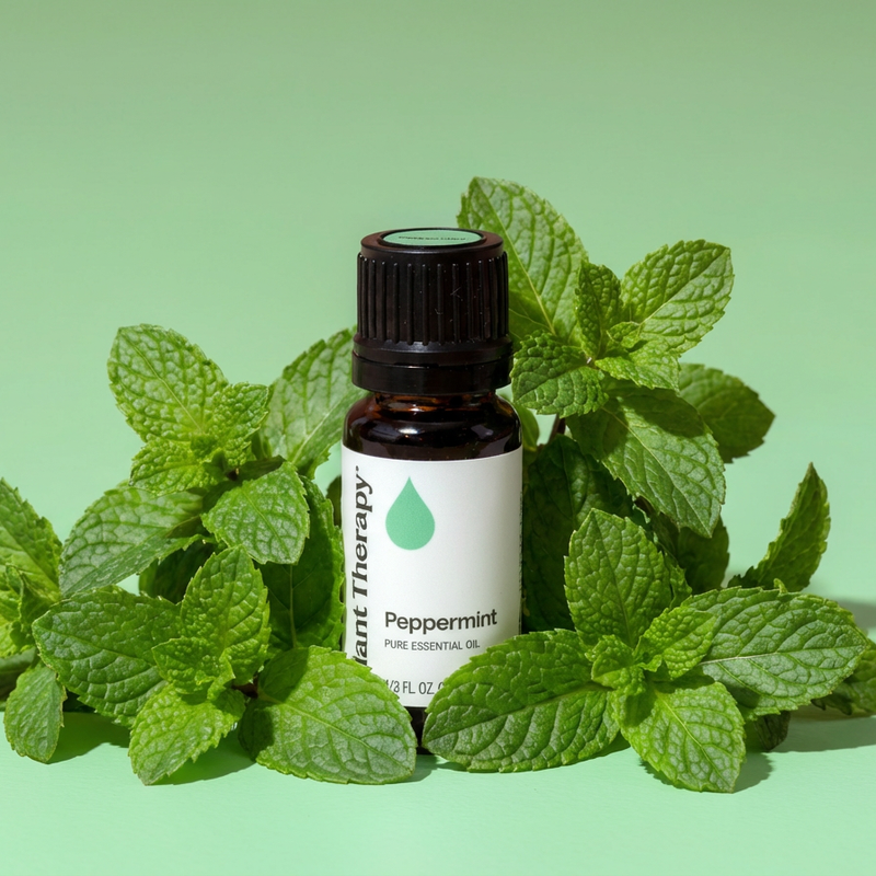 Plant Therapy Peppermint Essential Oil Essential Oil Dark Sea Green 10 mL,30 mL,100 mL
