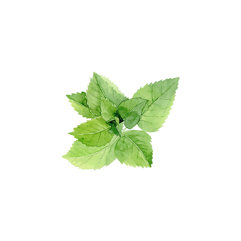 Rustic Strength Peppermint Essential Oil Scenting Oil White Smoke