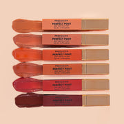 Profusion Cosmetics Perfect Pout | Soft Matte Lip Tint Lips Rosy Brown Charming,Grateful,Loyal,Confident,Humble,Curious