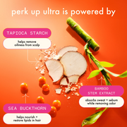 Nava Beauty Amika Perk Up Ultra Oil Control Dry Shampoo Orange Red 5.3 Oz,9.5 Oz