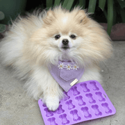 Farm To Pet Pet Treat Molds Mold Dark Gray Pink Paws,Purple Bones,Orange Halloween,Red Holiday
