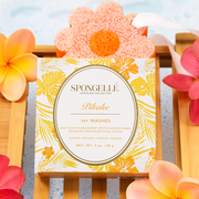 Spongellé Pikake | Hawaiian Buffer Body Wash Infused Buffer Misty Rose