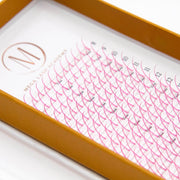 Mega Lash Academy Pink Promade Spikes Lash Trays Sienna 0.07 / CC / Mixed 8-15 mm
