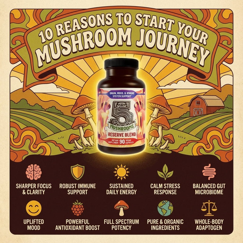 Hippie Farms Premium Immunity, Gut Health, and Brain Cognition Formula - 5 Mushrooms Reserve Blend Vitamins & Supplements Black