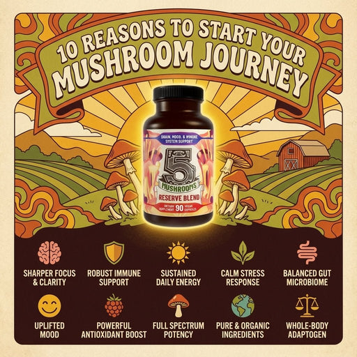 Hippie Farms Premium Immunity, Gut Health, and Brain Cognition Formula - 5 Mushrooms Reserve Blend Vitamins & Supplements Black