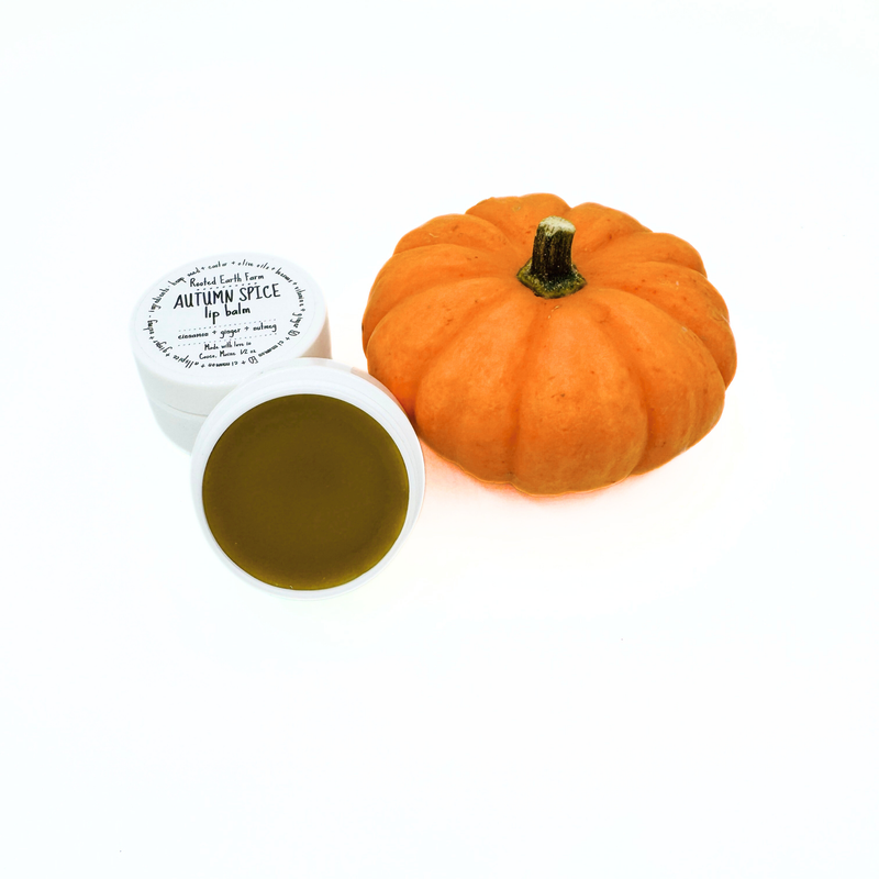 Rooted Earth Farm + Apothecary Autumn Spice Lip Balm Lip Balms + Tints White Smoke