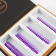 Mega Lash Academy Purple 5D Rapid Promade Fans - 600 Fans Promade Fans Dark Slate Gray 0.07 / CC / Mixed 8-9-10-11 mm,0.07 / CC / Mixed 12-13-14-15 mm