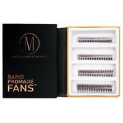 Mega Lash Academy Purple Ombré 6D Rapid Promade Fans - 600 Fans Promade Fans Black 0.07 / CC / Mixed 8-9-10-11 mm,0.07 / CC / Mixed 12-13-14-15 mm