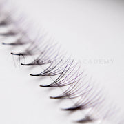 Mega Lash Academy Purple Ombré 6D Rapid Promade Fans - 600 Fans Promade Fans Lavender 0.07 / CC / Mixed 8-9-10-11 mm,0.07 / CC / Mixed 12-13-14-15 mm