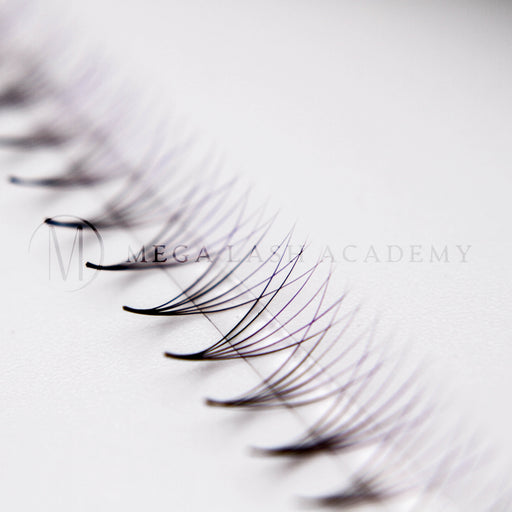 Mega Lash Academy Purple Ombré 6D Rapid Promade Fans - 600 Fans Promade Fans Lavender 0.07 / CC / Mixed 8-9-10-11 mm,0.07 / CC / Mixed 12-13-14-15 mm