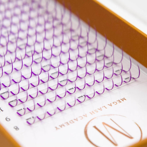 Mega Lash Academy Purple Promade Spikes Lash Trays Lavender 0.07 / CC / Mixed 8-15 mm