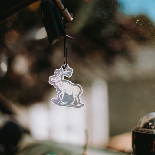 Good & Well Supply Co Rainier National Park Air Freshener Vehicle Air Fresheners Black