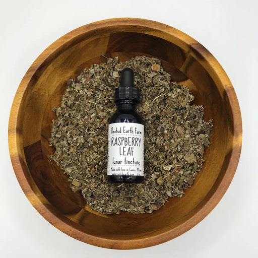 Rooted Earth Farm + Apothecary Red Raspberry Leaf Tincture Tinctures + Capsules Dark Olive Green 1 oz,2 oz