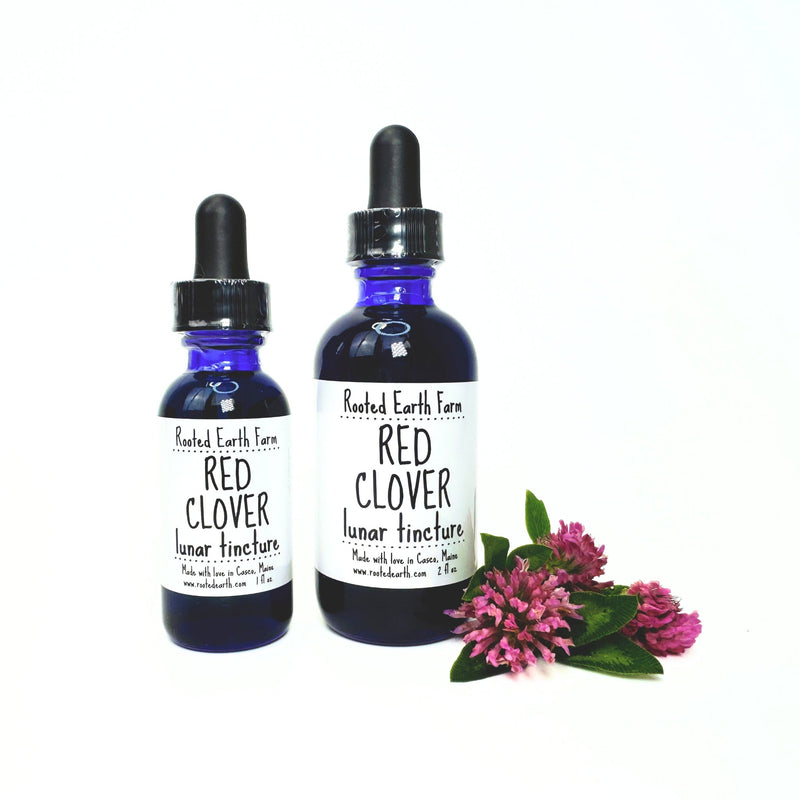 Rooted Earth Farm + Apothecary Red Clover Tincture Tinctures + Capsules White Smoke 1 oz,2 oz