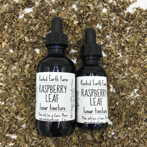 Rooted Earth Farm + Apothecary Red Raspberry Leaf Tincture Tinctures + Capsules Dim Gray 1 oz,2 oz