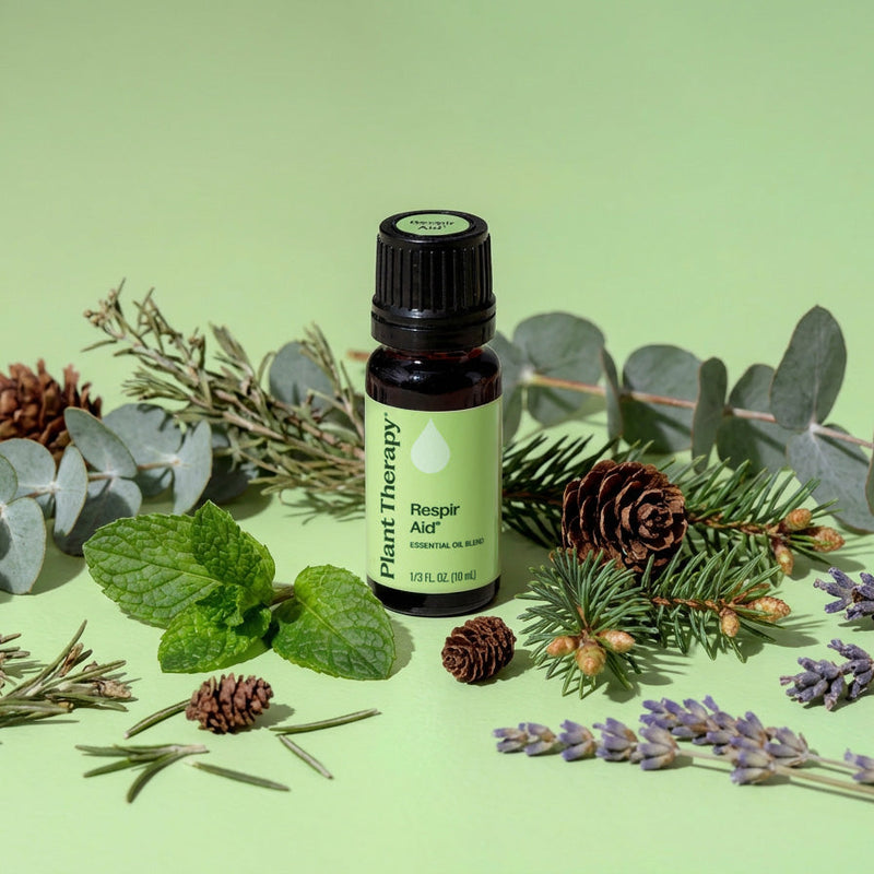 Plant Therapy Respir Aid Essential Oil Blend Essential Oil Pale Goldenrod 10 mL,30 mL,100 mL