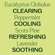 Plant Therapy Respir Aid Essential Oil Blend Pre-Diluted Roll-On Essential Oil Khaki 10 mL