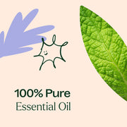 Plant Therapy Respir Aid Essential Oil Blend Essential Oil Antique White 10 mL,30 mL,100 mL