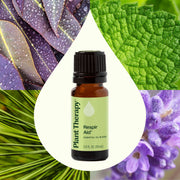 Plant Therapy Respir Aid Essential Oil Blend Essential Oil Seashell 10 mL,30 mL,100 mL