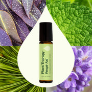 Plant Therapy Respir Aid Essential Oil Blend Pre-Diluted Roll-On Essential Oil Seashell 10 mL